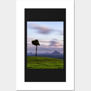 The Lone Tree of Maleny Posters and Art